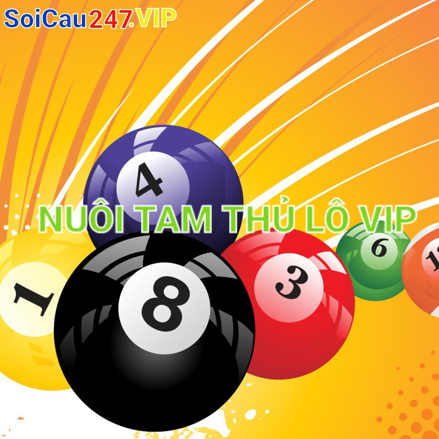 soicau247